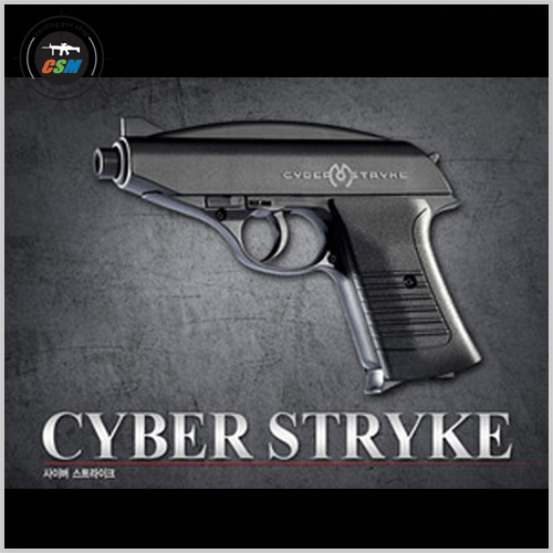 [아카데미] Cyber Stryke